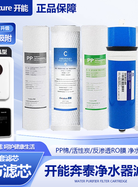 开能奔泰净水器10寸白黑宝箱CR600/400/500UD2净水机滤芯反渗透膜