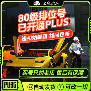 绝地求生账号steam吃鸡pubg账户可排位能竞技成品皮肤匹配/高等级