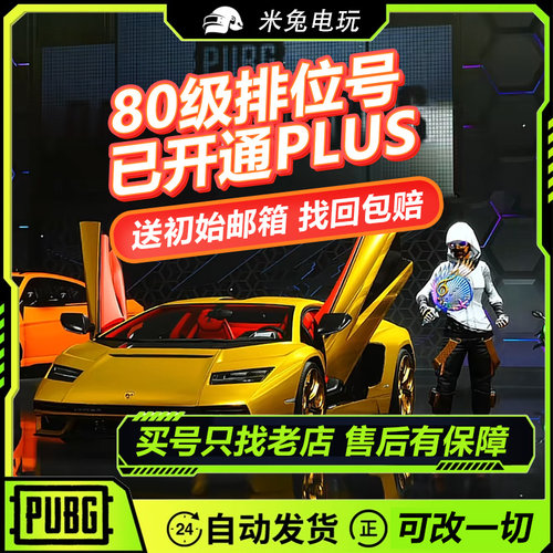 绝地求生账号steam吃鸡pubg账户可排位能竞技成品皮肤匹配/高等级