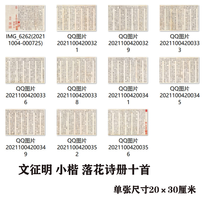 文征明小楷 落花诗册十首 名家书法楷书硬笔临摹学习范本文徵明
