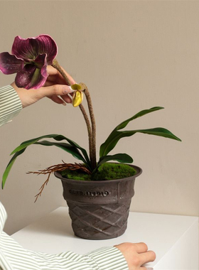 CMYD设计款冰淇淋甜筒盆栽高颜值陶瓷花盆客厅桌面摆件送礼乔迁