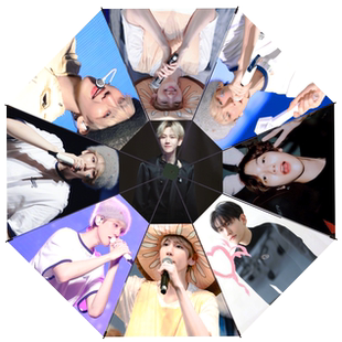 边伯贤宋江韩国明星粉丝应援礼物周边三折叠全自动晴雨两用伞防晒