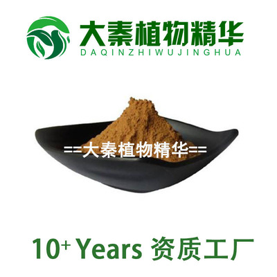 SC源头 迷迭香提取物 水溶迷迭香粉Rosemary‌ extract提取物精华
