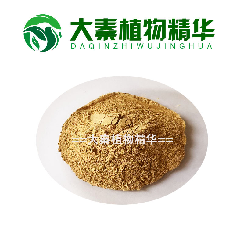 工厂品质 独活提取物 独活浓缩粉  天然植物提取物精华粉末 30:1