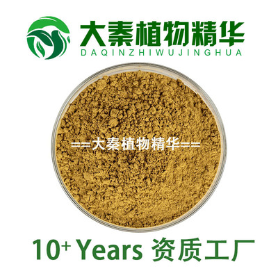 金牌认证紫锥菊提取物SC工厂