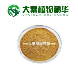 SC工厂 木贼提取物 30:1 标准比例提取物全规格浓缩粉末