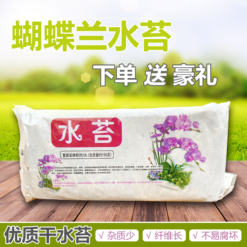 兰花透气防烂根无菌介质