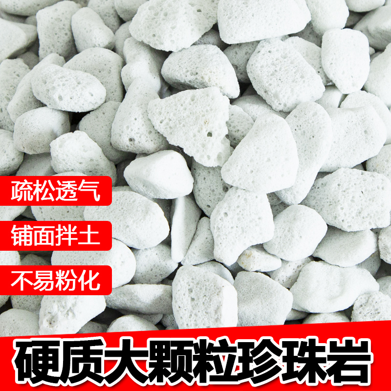 通用硬质无尘不易粉化珍珠岩兰花