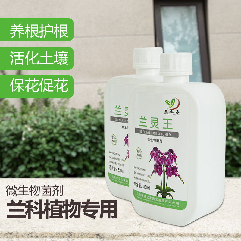 营养液兰科微生物菌肥兰灵王