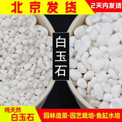 白石子花盆铺面多肉盆栽装饰包邮