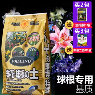 朝日钵花球根营养土风信子百合郁金香球根类植物专用栽培基质土