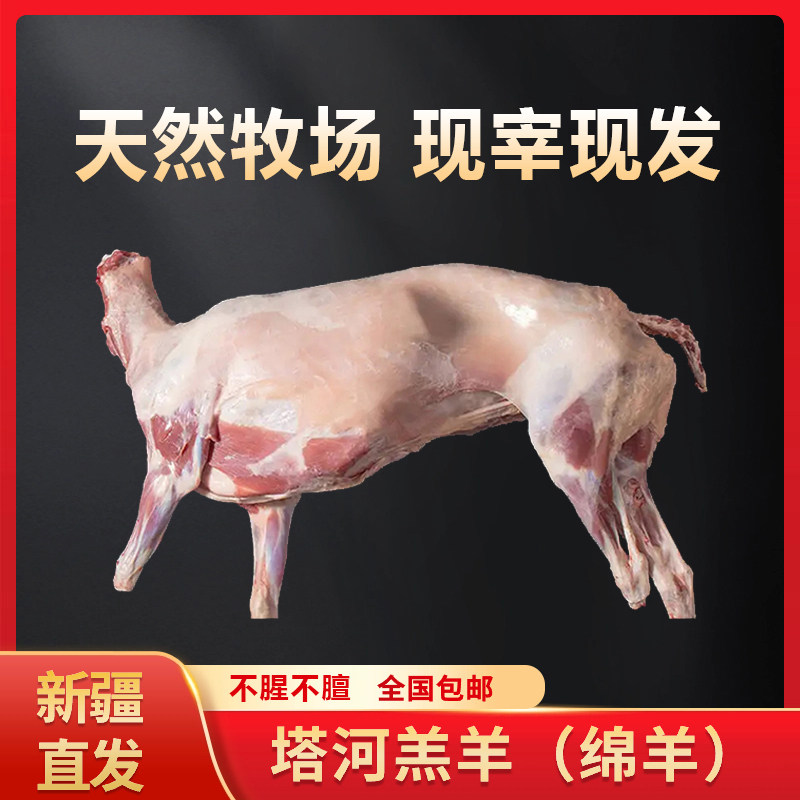 新疆塔河现宰现发绵羊