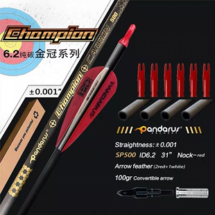 【小Z射箭】潘神箭 千1箭 金冠6.2 碳箭 非台风箭 地震箭 派纳斯