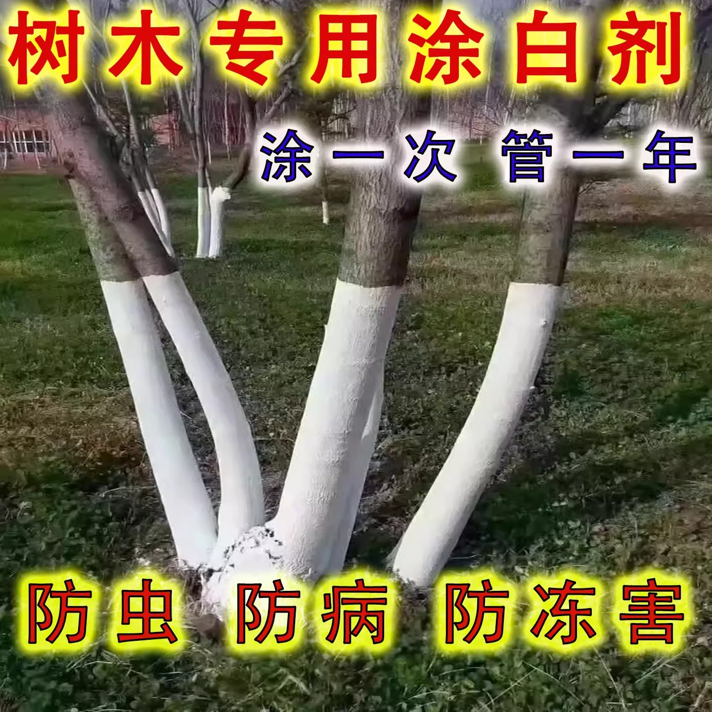 果树树干涂白剂杀菌防虫防虫
