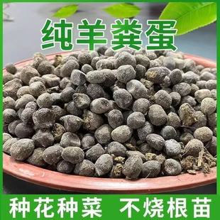 羊粪发酵有机肥料蔬菜专用纯羊粪蛋颗粒花卉用腐熟农家肥100斤5斤