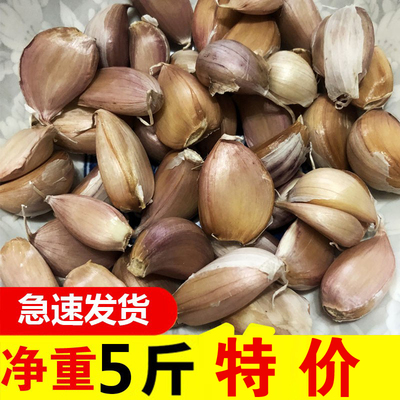 2025年蒜种子小蒜辫蒜心儿独头蒜种香蒜农家自留可种5斤净重足秤