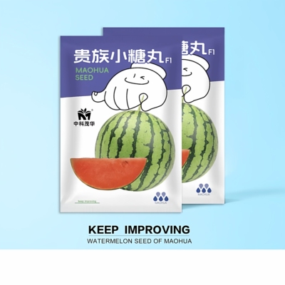 中科茂华西瓜种子早熟高产抗病