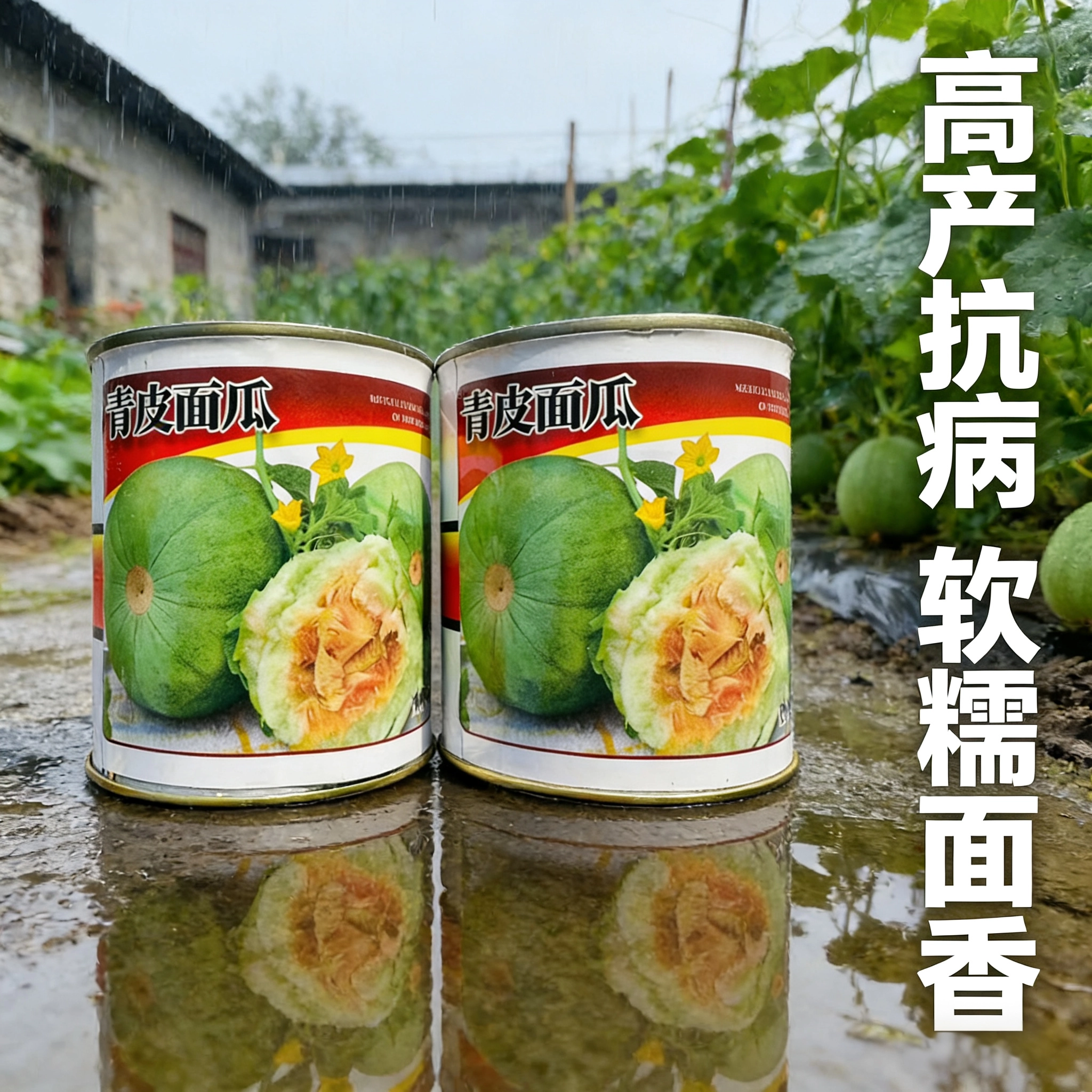 豫达丰青皮黑皮黄皮面瓜种子高产抗病甜瓜种子软糯面香四季