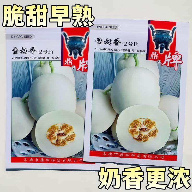 雪奶香2号1号杂交甜瓜种籽超甜高产早熟薄皮白皮白肉香瓜种子四季