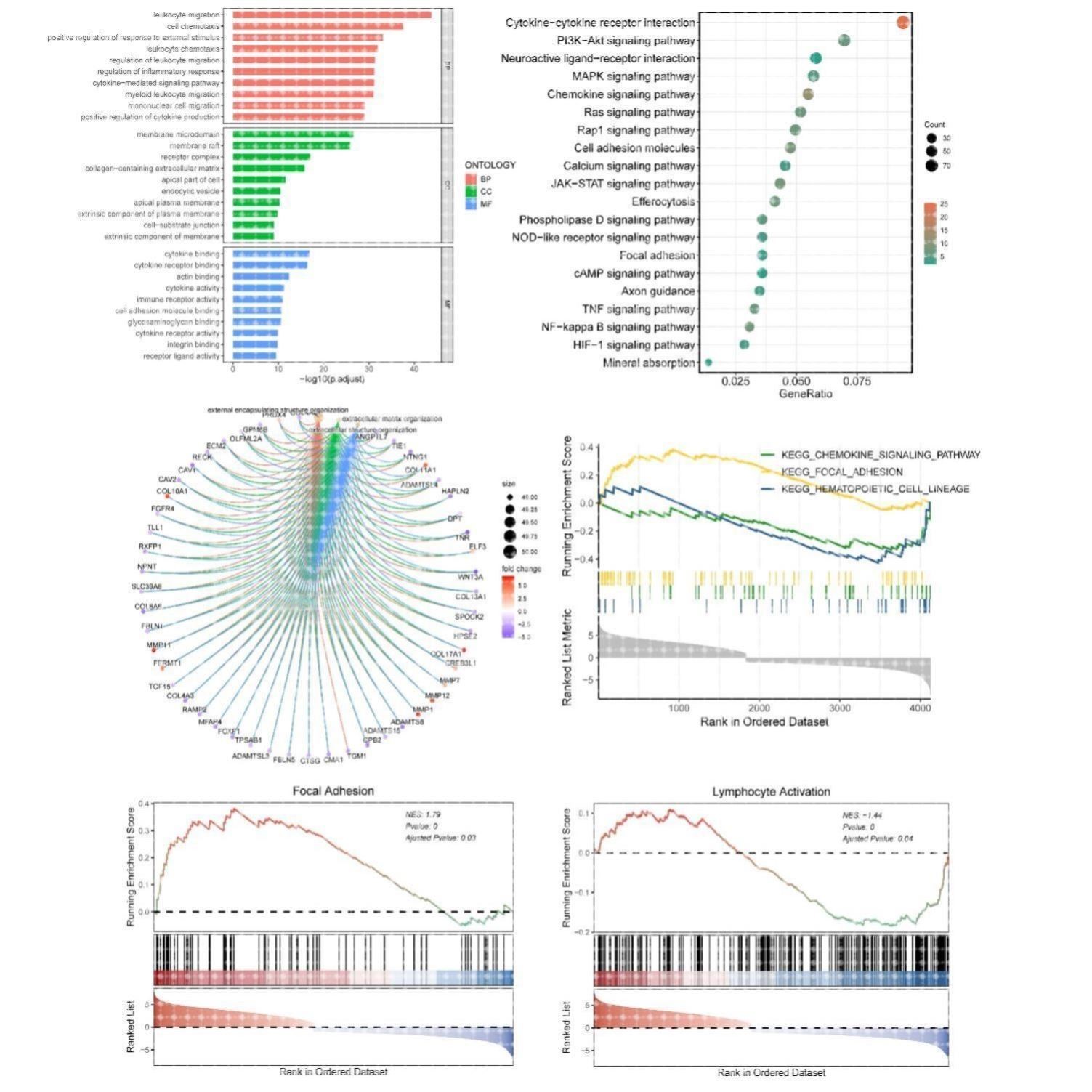 GOKEGG功能富集TCGA单基因GSEA分析,气泡图柱状图GSEA曲线图