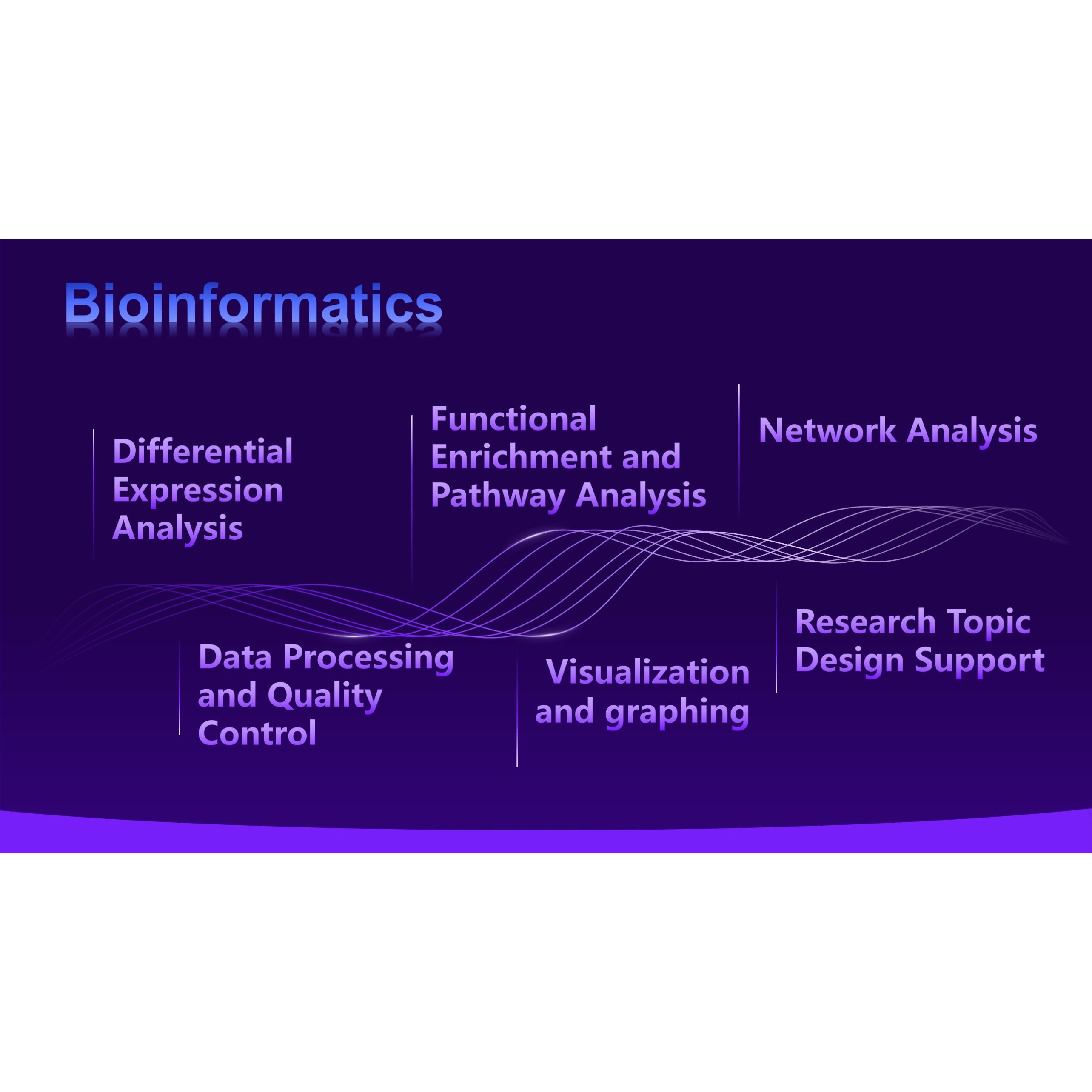 生信分析 Bioinformatics Analysis