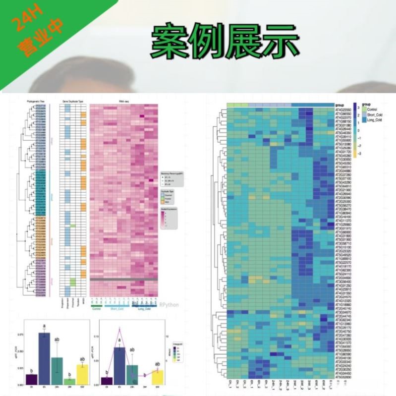 R语言代码Rstudio绘图SCI科研生信医学桑基热图数据分析作图教程