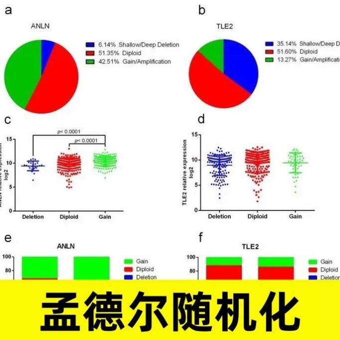 生信分析服务单细胞测序转录组r语言生物信息TCGA GEO数据库挖掘