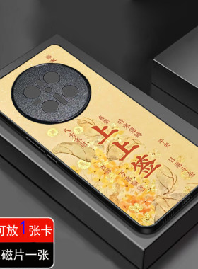 适用华为Huawei-Nova隐藏内卡槽手机壳可刷磁片70698543PRO包邮支持定制图案代替套