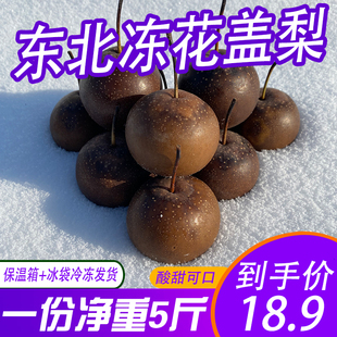 冻花盖梨 东北特产年货酸甜花盖梨软梨大黑梨秋子梨 细腻无渣多汁