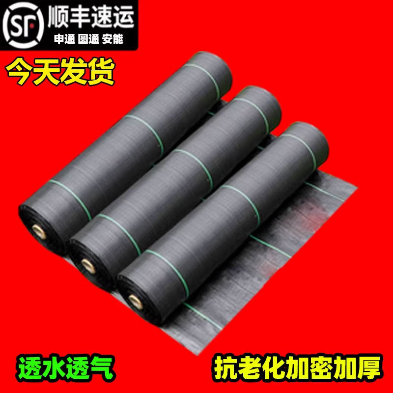 防草布除草布抗老化果园果树遮草盖草布农用地布耐用加厚塑料黑色