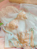 法式 性感纯欲超薄刺绣蕾丝内衣无钢圈三角杯美背细带文胸套装 少女