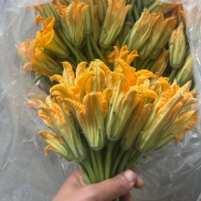 顺丰包邮新鲜现摘食用南瓜花南瓜嫩尖新鲜采摘当季时令低脂蔬菜