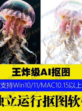 PS插件自动抠图软件P图发丝精细抠图片产品去背景换底色