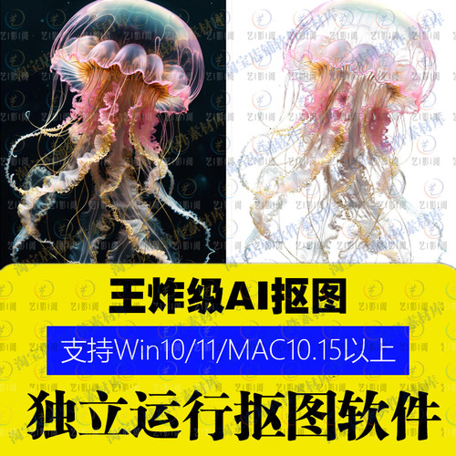 PS插件自动抠图软件P图发丝精细抠图片产品去背景换底色