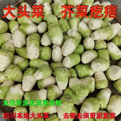 新鲜大头菜农家芥菜疙瘩下饭酱菜