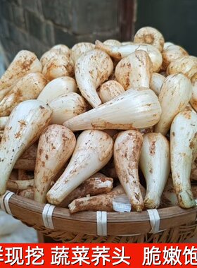 现挖藠头新鲜荞头蔬菜农家大教头