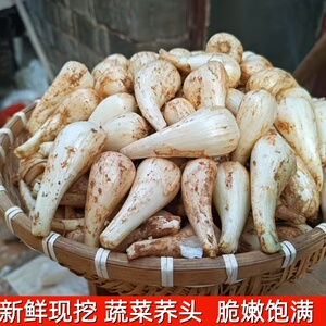 现挖藠头新鲜荞头蔬菜农家大教头