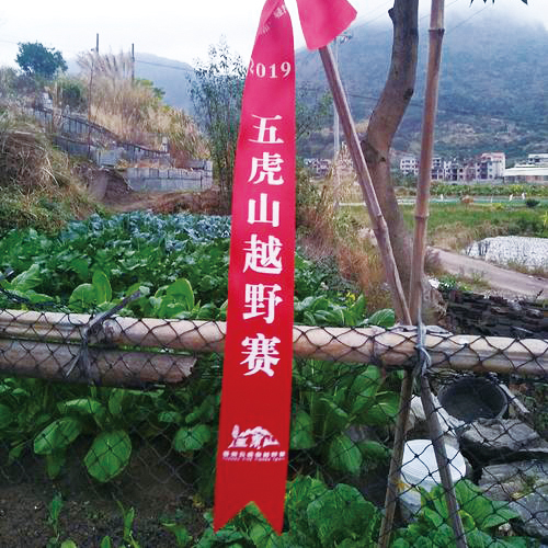 定制户外路标条爬山徒步活动订做飘带路引印刷驴友探路条标记越野