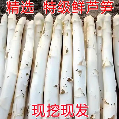 当季新鲜白芦笋现挖现发山东曹县特产精选鲜嫩蔬菜农家自种植特级