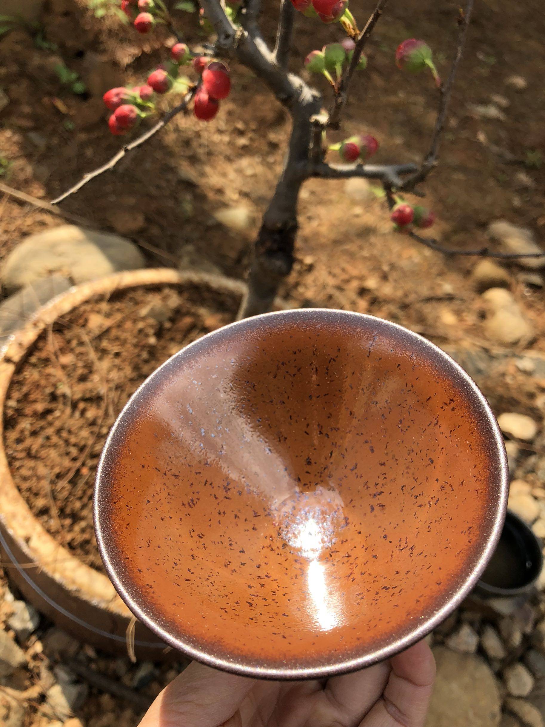 柳溪堂龙窑柴烧建盏第7季梅花烙斗笠 原矿釉手工制作 口经 9*5.