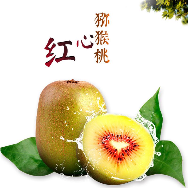 红心猕猴桃新鲜水果应季顺丰包邮