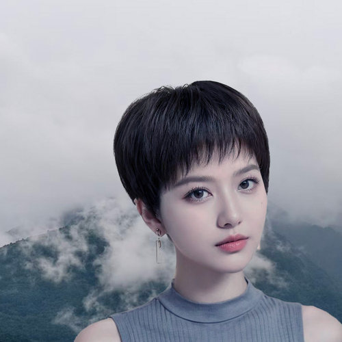 假发女全头套仿真人发丝中老年妈妈款短直发假发套短款可水洗
