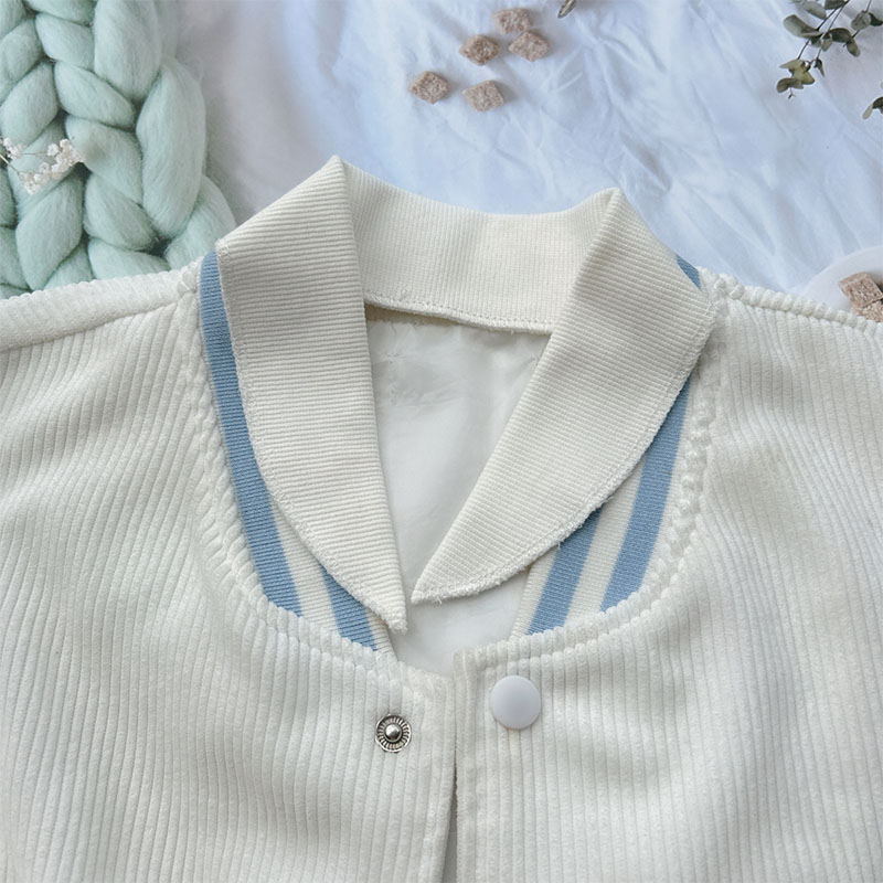 休闲衫更换领口夹克棒球衫新成人针织棉松紧弹性螺纹春秋薄款布料