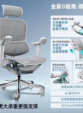 Ergonor保友金豪b雄鹰人体工学椅电脑椅 电竞椅办公椅子可躺椅