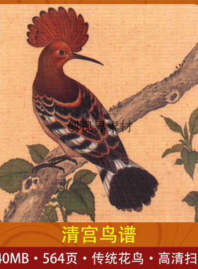 清宫鸟谱图集古代鸟类设计素材皇家美术精品赏析高清电子版素材