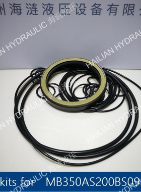 OIL SEAL O RING FOR EATON DOWNMAX MB350A船舶密封维修包密封圈