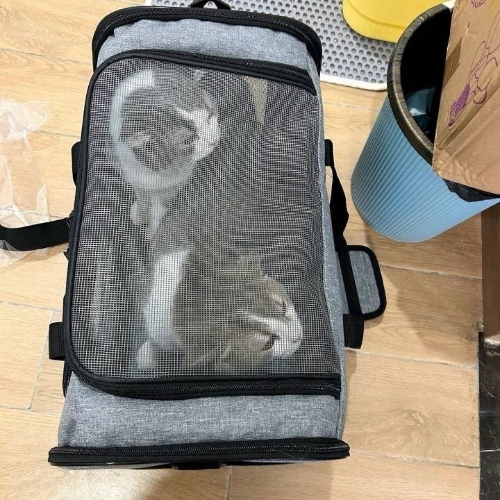 猫咪外出包超大缅因折叠
