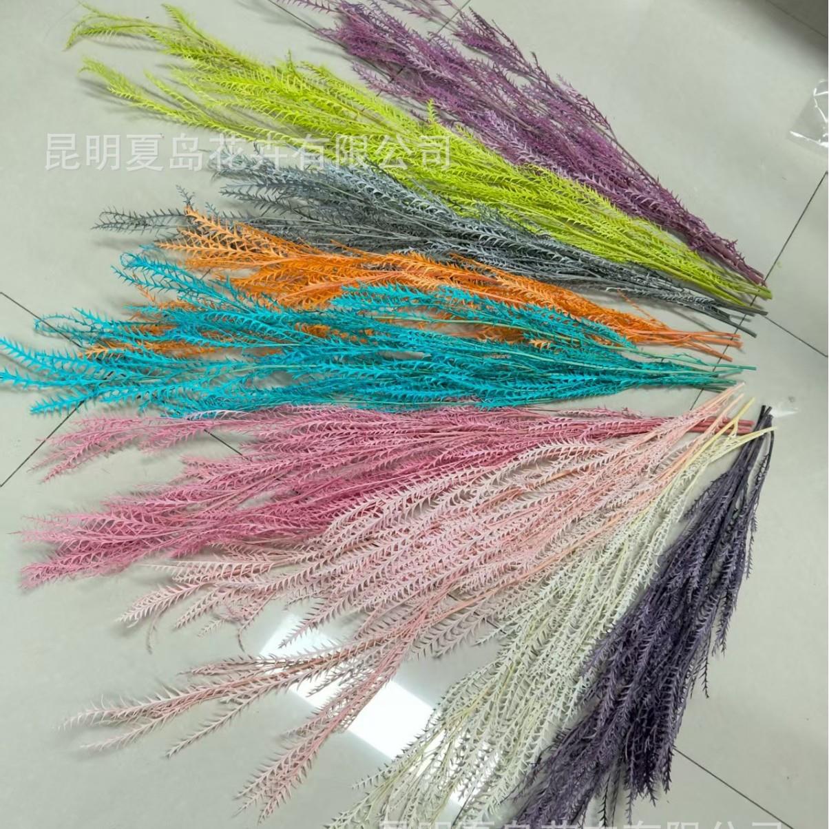 剑齿叶 锯齿叶 羊齿 马齿叶 叶材 花束花盒材料