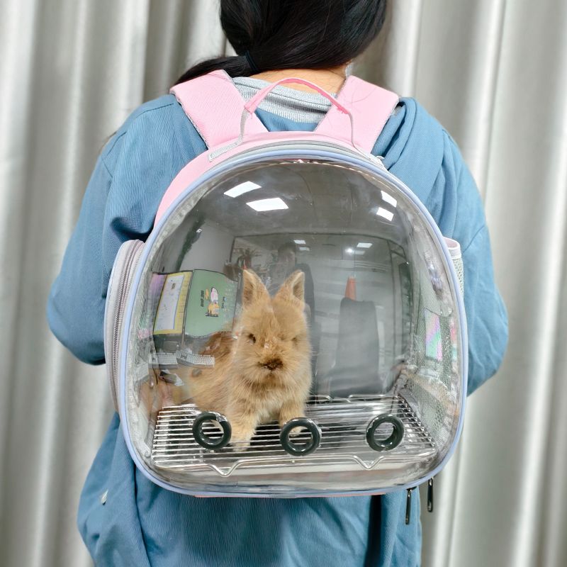 宠物外出便携包装幼猫兔