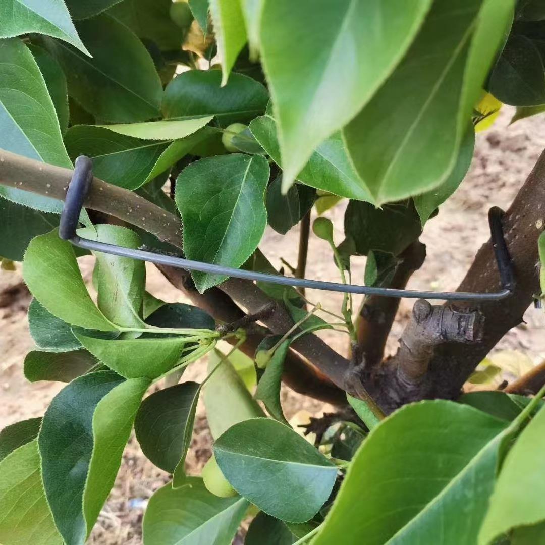 果树拉枝神器别枝器开角器压枝器弯枝器扭枝器万能型厂家多功能